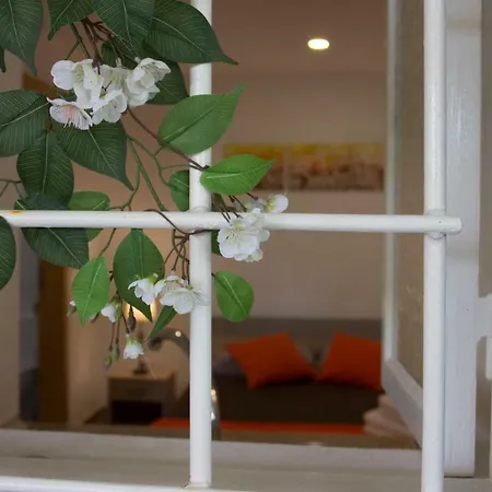 Tabua Village Madeira Vendégház Ribeira Brava