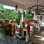 Tabua Village Madeira 4* Ribeira Brava