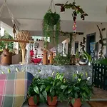 Tabua Village Madeira Ribeira Brava