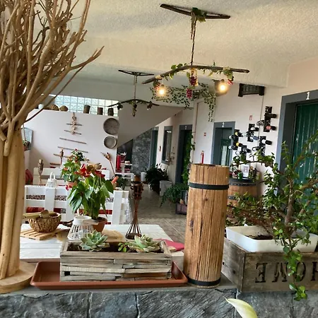 Tabua Village Madeira Гостевой дом