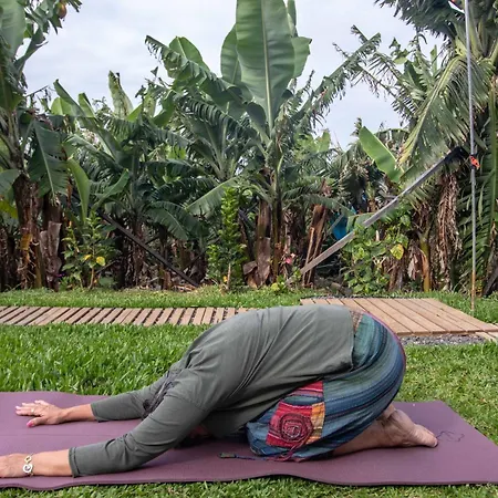 招待所 Tabua Village Madeira