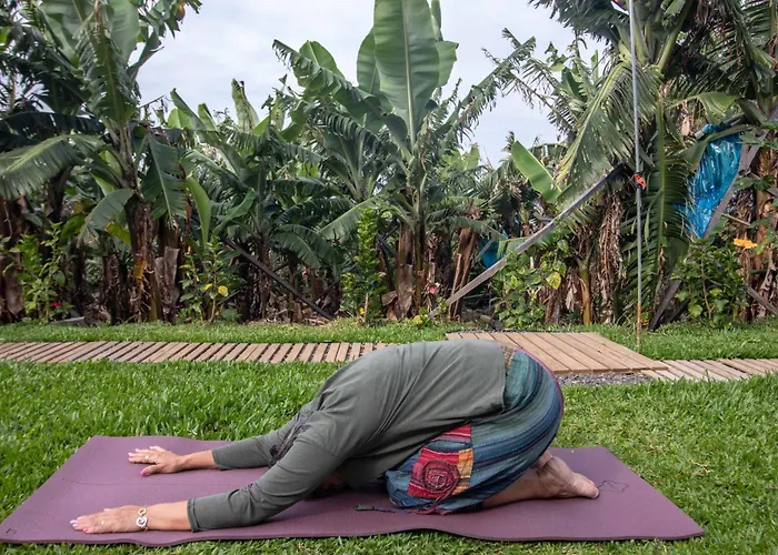 בית הארחה Tabua Village Madeira