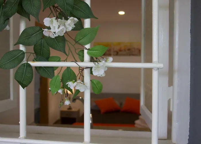 Tabua Village Madeira בית הארחה ריביירה בראבה